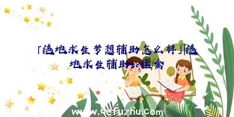 「绝地求生梦想辅助怎么样」|绝地求生辅助sc猛禽